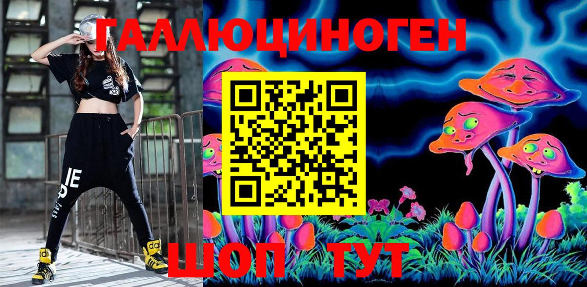 Галлюциногенные грибы Psilocybine cubensis Карачаевск