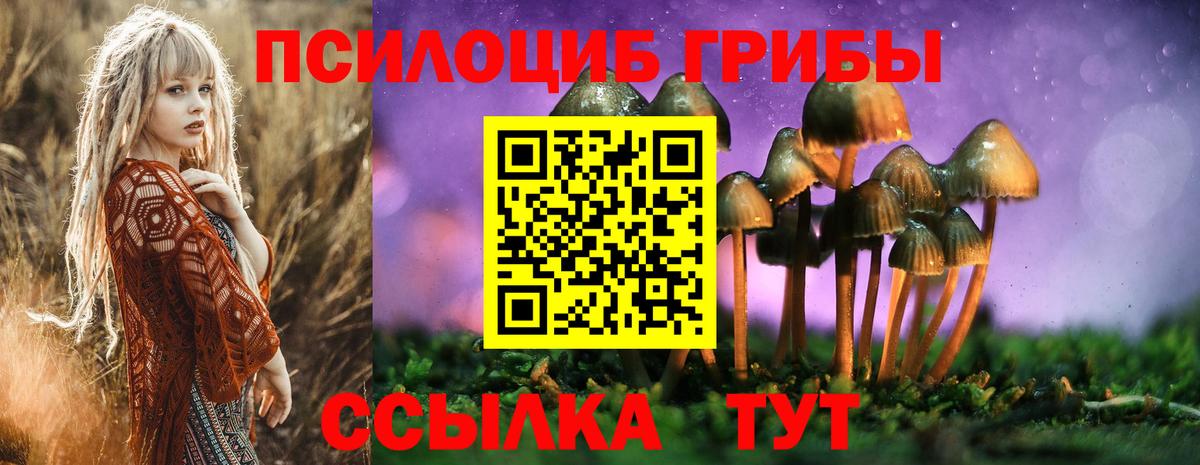 Псилоцибиновые грибы мицелий  Вход с VPN  Карачаевск 